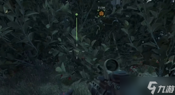 《三角洲行动》大坝鸟窝分布位置