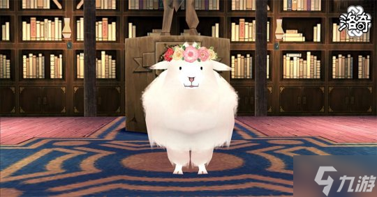 《洛奇》怦然心动 浪漫岛!