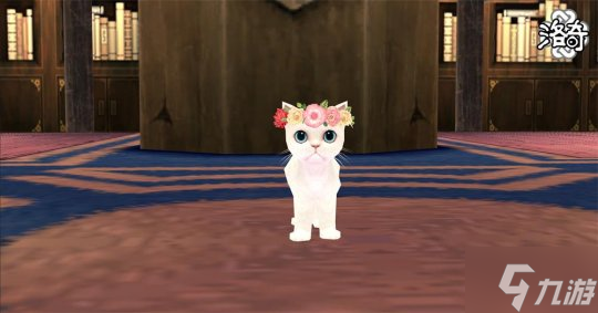 《洛奇》怦然心动 浪漫岛!