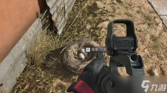 《三角洲行动》大坝鸟窝分布位置