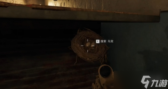 《三角洲行动》大坝鸟窝分布位置