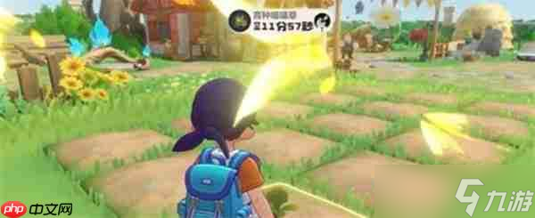 洛克王国世界家园舒适度提升方法一览