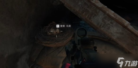 《三角洲行动》大坝鸟窝分布位置