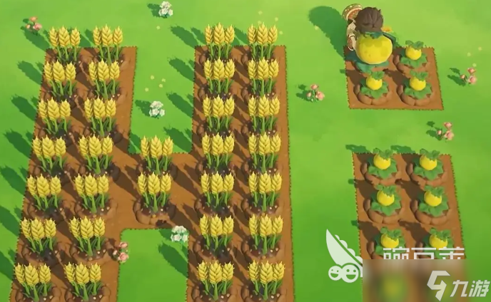 星布谷地攻略大全分享 星布谷地新手怎么玩