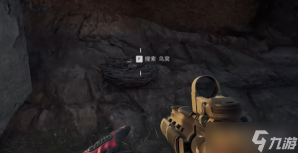 《三角洲行动》大坝鸟窝分布位置