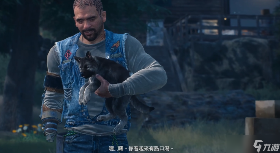 往日不再狗带回家后在哪