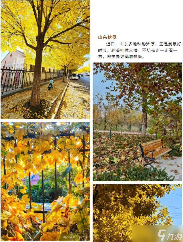 强冷空气蓄势待发，今明天山东晴好天气“续航”