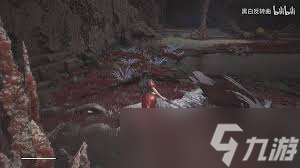 如何收集明末渊虚之羽僰人古都先神之言