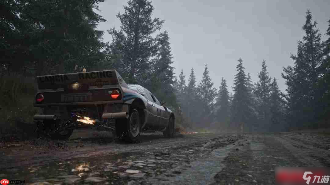 《神力科莎：拉力》Steam抢先体验开启 专业级拉力赛体验