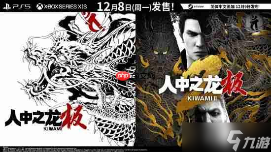 Switch2版《如龙极2》掉帧严重！连30帧都不稳