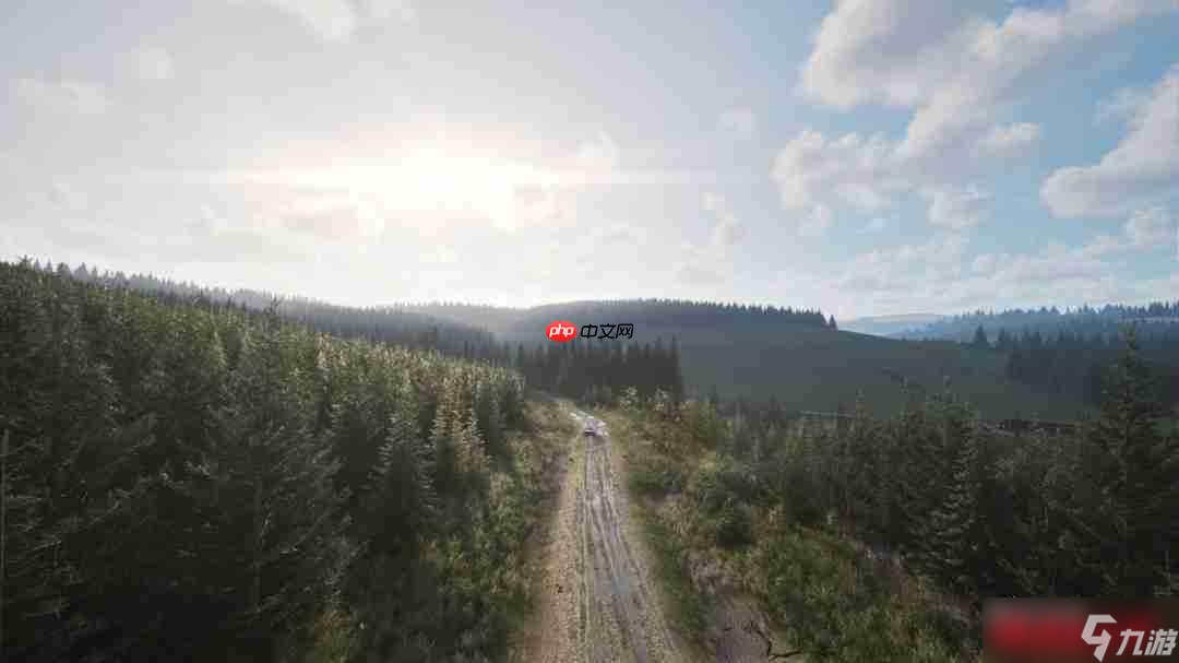 《神力科莎：拉力》Steam抢先体验开启 专业级拉力赛体验