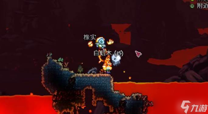 泰拉瑞亚熔岩免疫