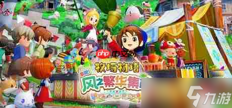 《牧場物語 來吧！風之繁華集市》1.2.0版本更新 賓果新增“特別卡片2”