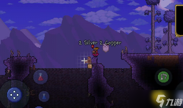 泰拉瑞亚有哪些免疫类饰品