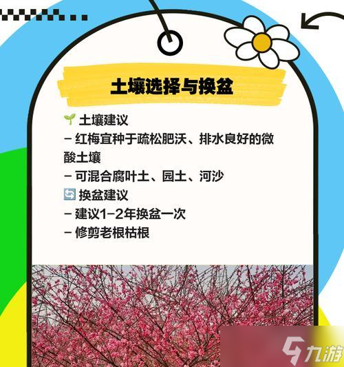 《以小森生活》红梅位置坐标攻略，教你轻松找到红梅！