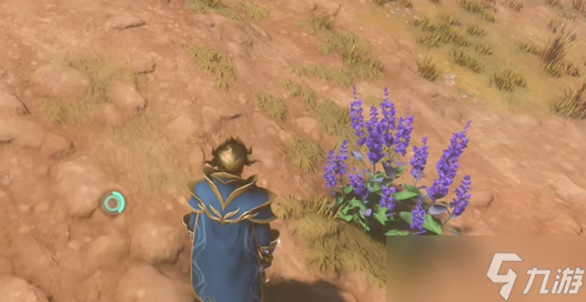 雾锁王国靛青植物在哪