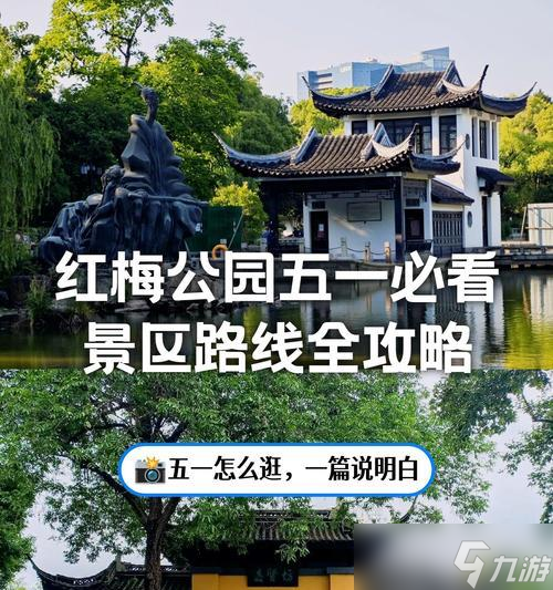 《以小森生活》红梅位置坐标攻略，教你轻松找到红梅！