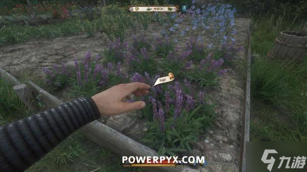 《天国拯救2》防疫面罩材料位置及制作方法 绳子在哪