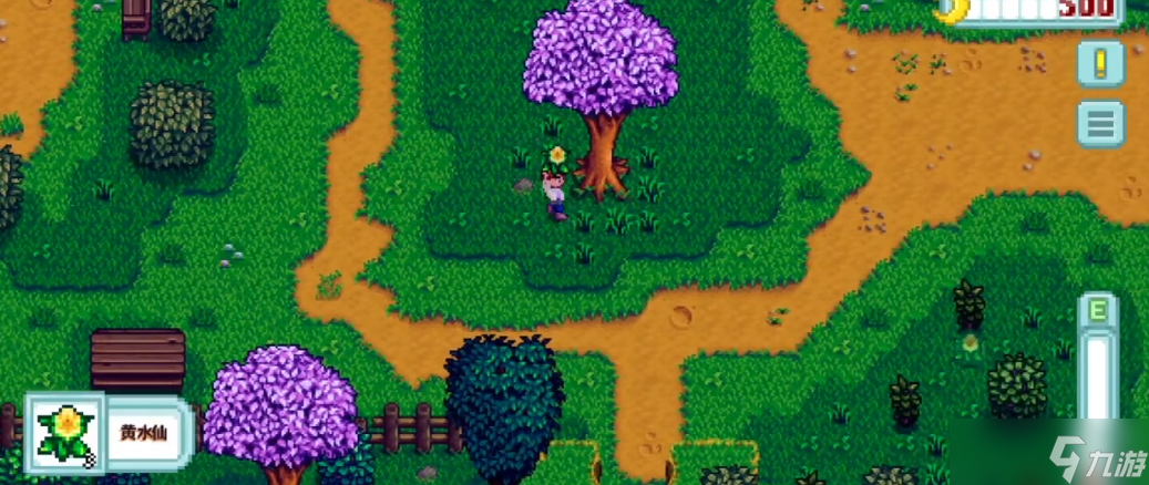 星露谷物语黄水仙怎么获得