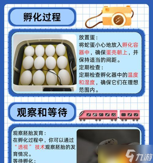 白金光生蛋的条件是什么 怎么提高孵化成功率 