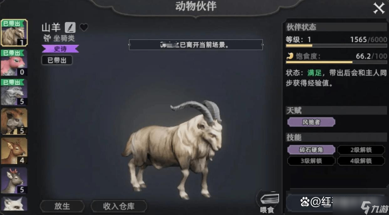 荒原曙光五大实用宠物推荐