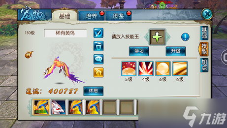 诛仙手游宠物鸟用什么技能好