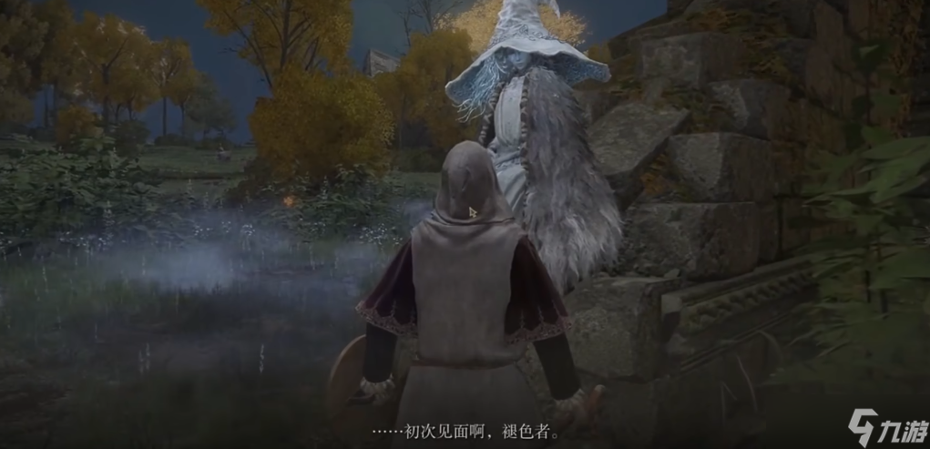 艾尔登法环菈妮盟友有哪些