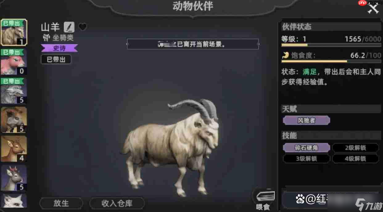 荒原曙光五大实用宠物推荐