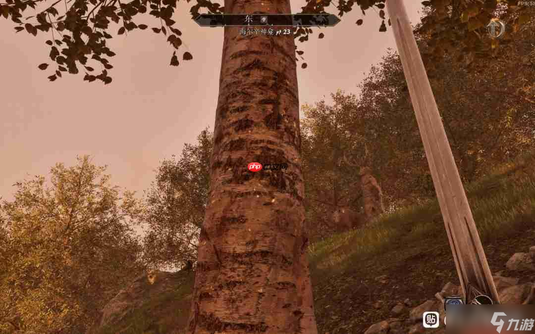 《上古卷轴4:湮灭重制版》攻略——大衮套获得方法介绍