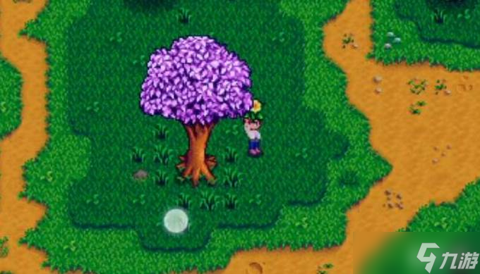 星露谷物语黄水仙获取