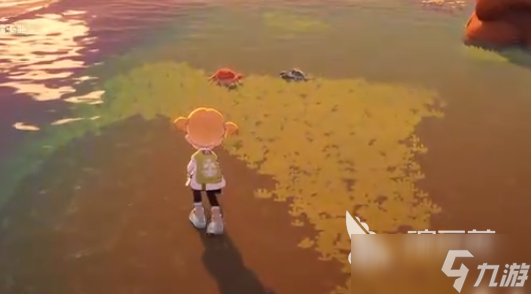 星布谷地螃蟹如何捕捉 星布谷地螃蟹捕捉方法