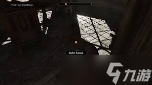 上古卷轴4重制版杀戮场支线怎么过