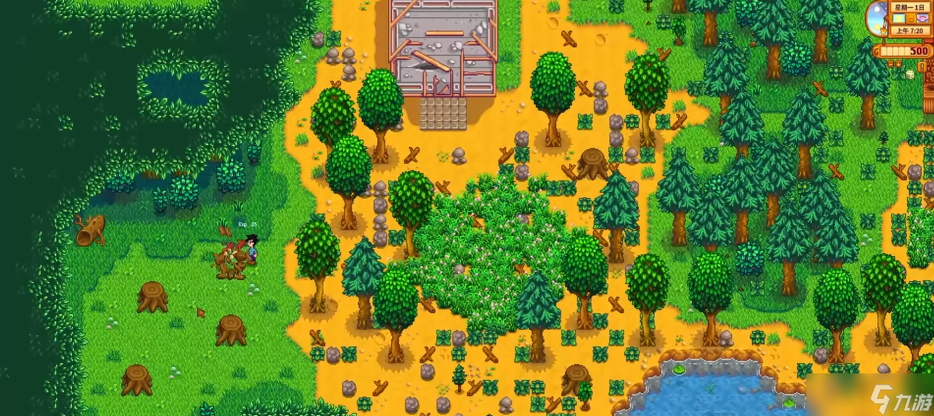 星露谷物语开局要明确什么