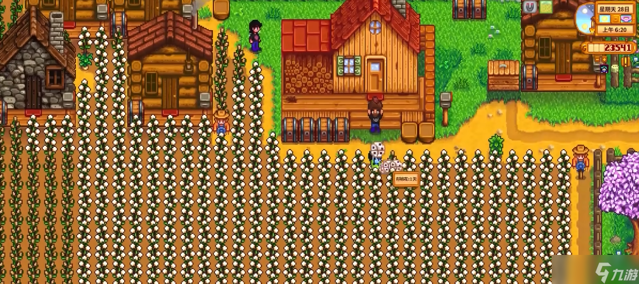 星露谷物语开局要明确什么