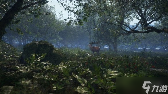 《猎人：荒野的召唤》苏格兰主题DLC预告片发布！