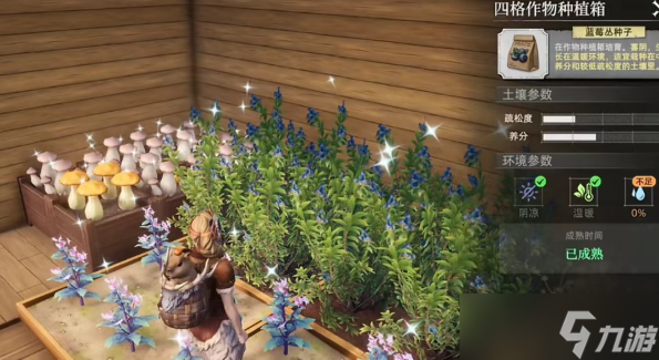 荒原曙光土壤获取以及完美种植配比一览