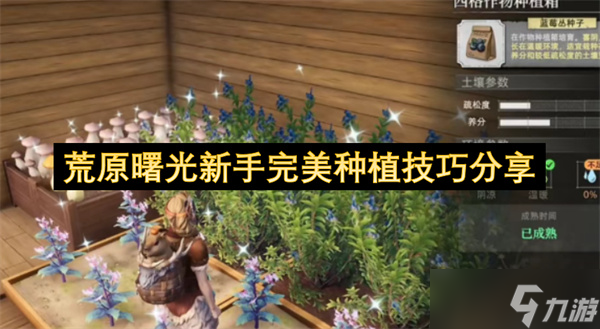 荒原曙光新手完美种植技巧推荐