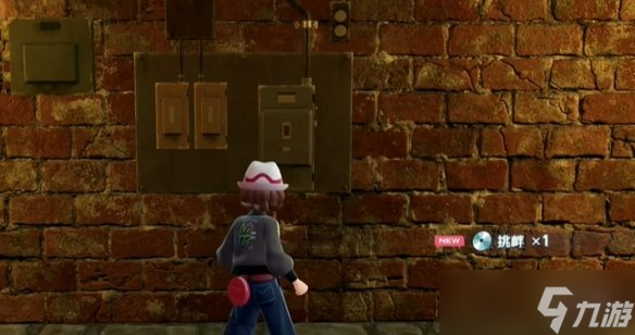 《宝可梦传说ZA》挑衅技能位置介绍