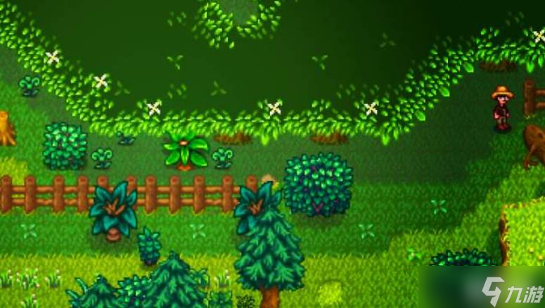 星露谷物语神秘森林玩法