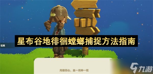 星布谷地徘徊螳螂捕捉方法指南