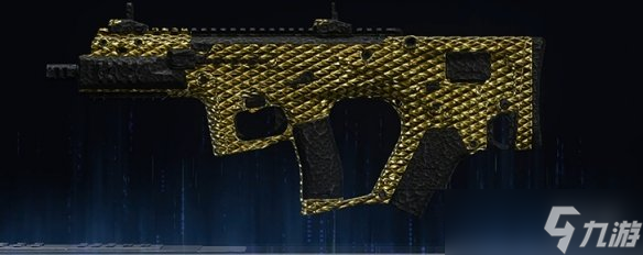 《使命召唤黑色行动7》全武器金龙迷彩图鉴