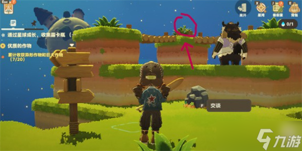 星布谷地徘徊螳螂捕捉方法指南