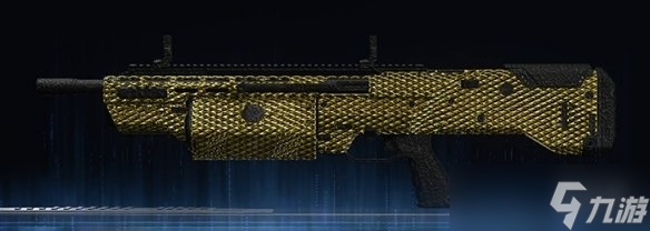 《使命召唤黑色行动7》全武器金龙迷彩图鉴