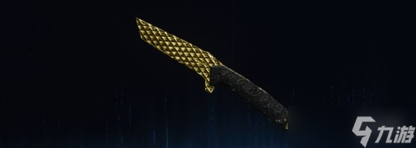 《使命召唤黑色行动7》全武器金龙迷彩图鉴