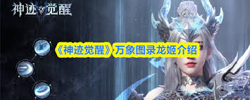 神迹觉醒龙姬厉害吗