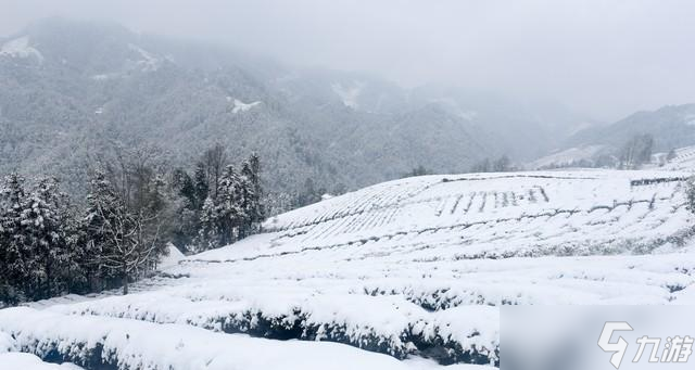 “最怕小雪一日晴”，今日小雪，晴天有啥预兆？为何怕？答案来了