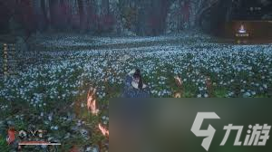 明末渊虚之羽方灵的回响效果怎么获取