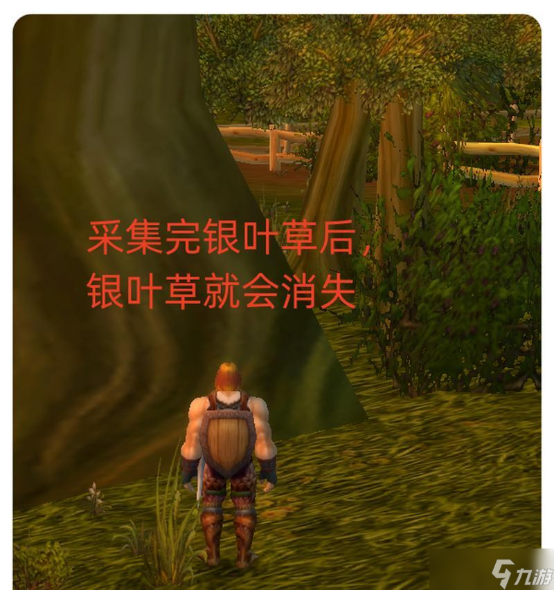 银叶草在魔兽世界哪里可以购买？