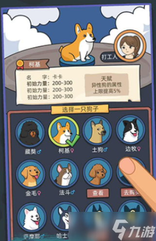 2025狗喜欢玩的十种游戏有哪些 狗狗喜欢玩的游戏盘点