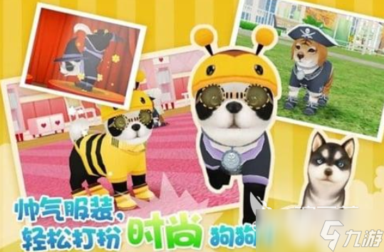 2025狗喜欢玩的十种游戏有哪些 狗狗喜欢玩的游戏盘点